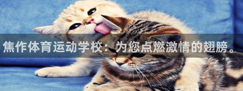 欧亿体育官方正版app娱乐代理怎么样：焦作体育运动学