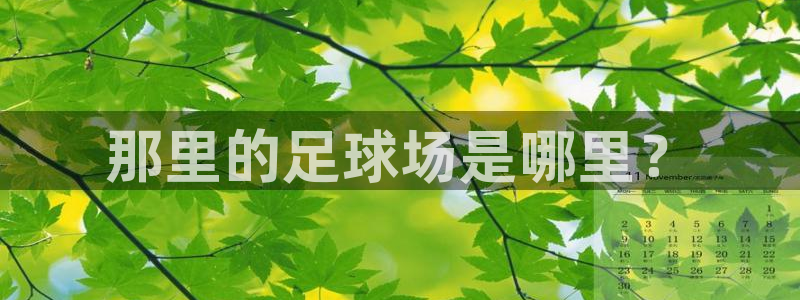 欧亿体育官方正版app娱乐首页官网下载：那里的足球场
