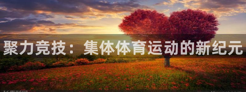 oety欧亿体育官网下载招商电话地址查询：聚力竞技：
