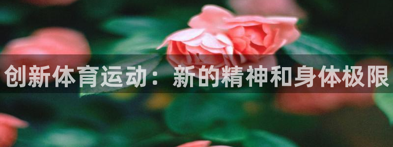 欧亿体育官方正版app集团logo：创新体育运动：新的精神和