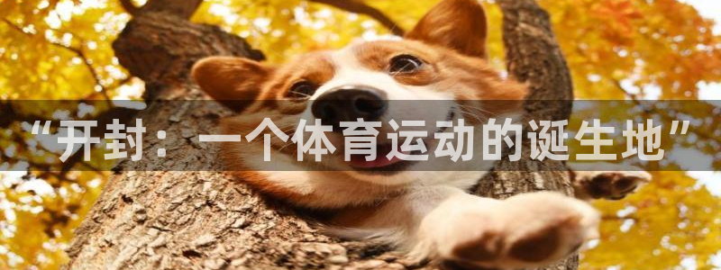 oety欧亿体育官网下载平台注册要钱吗是真的吗：“开