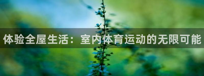 欧亿体育官方正版app娱乐网站：体验全屋生活：室内体育运动的