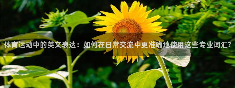 oety欧亿体育官网下载招商电话号码：体育运动中的英文表达：