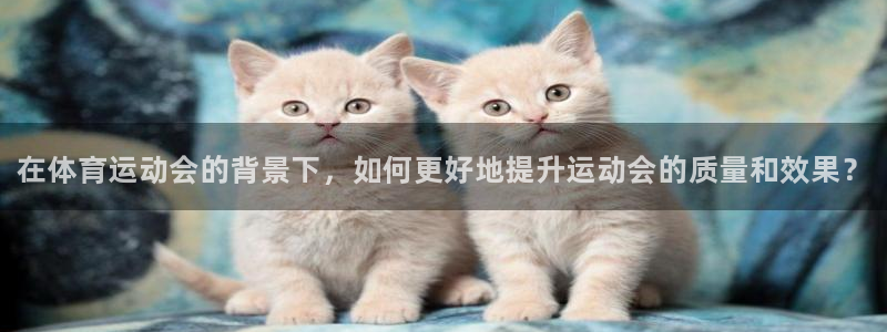 oety欧亿体育官网下载招商电话号码是多少号：在体育运动会的