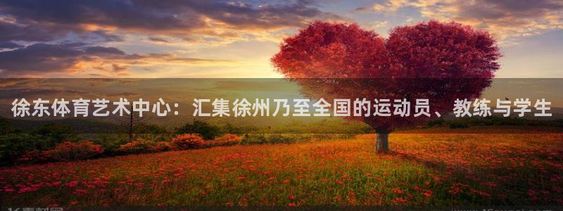 oety欧亿体育官网下载平台是正规平台吗知乎：徐东体育艺术中