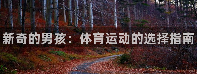 欧亿体育官方正版app集团logo：新奇的男孩：体育
