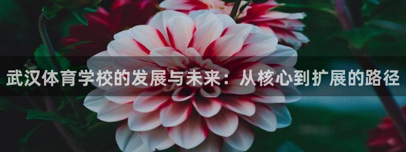 oety欧亿体育官网下载招商：武汉体育学校的发展与未来：从核