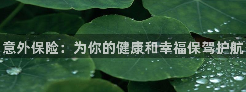欧亿体育官方正版app集团：意外保险：为你的健康和幸福保驾护