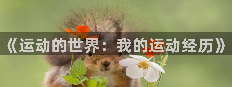 欧亿体育官方正版app娱乐下载：《运动的世界：我的运