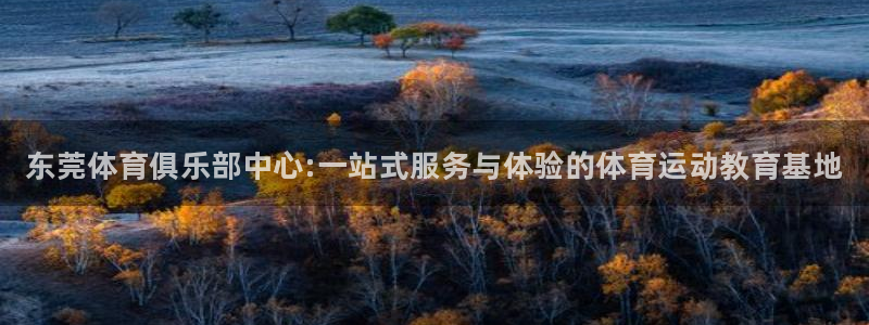 欧亿体育官方正版app官方：东莞体育俱乐部中心:一站