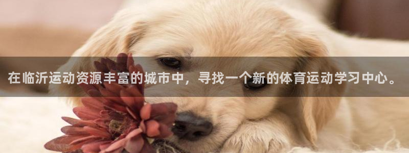 欧亿体育官方正版app五金厂：在临沂运动资源丰富的城市中，寻