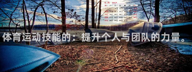 欧亿体育官方正版app集团：体育运动技能的：提升个人与团队的