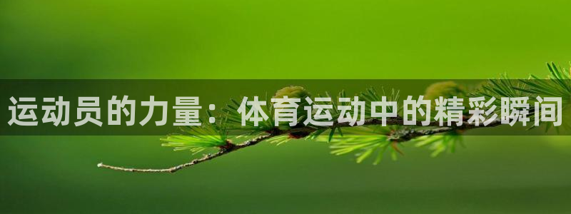  欧亿官网下载appios.交易所app官方.中国：运动员的力