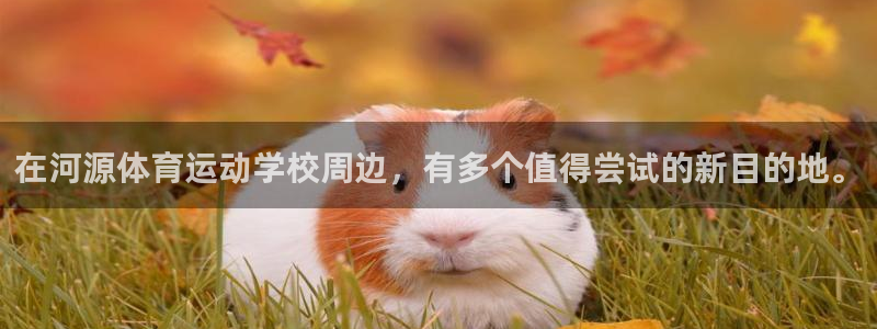 欧亿平台首页：在河源体育运动学校周边，有多个值得尝试的新目的