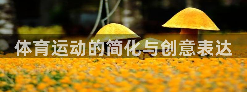 欧亿平台注册：体育运动的简化与创意表达