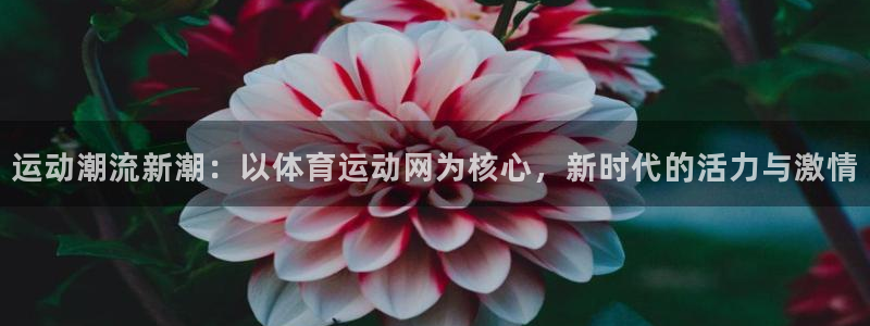 oe欧亿体育官网：运动潮流新潮：以体育运动网为核心，新时代的