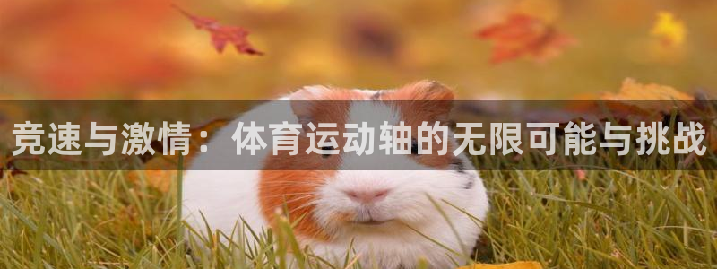 欧亿平台官网下载.官网app.中国：竞速与激情：体育运动轴的