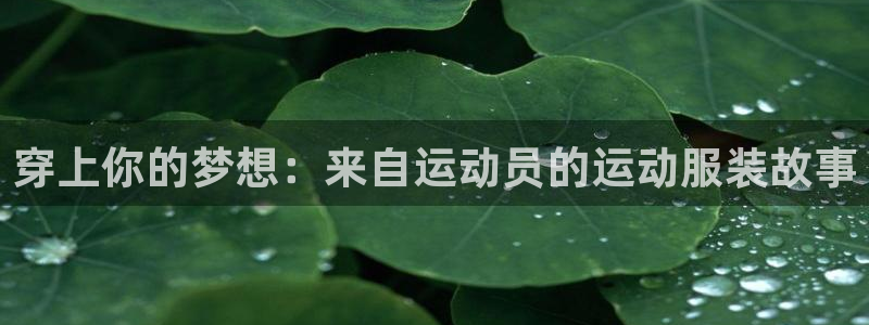  欧亿官网下载app 地址.官网app.中国：穿上你的梦想：来