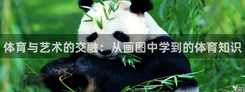  欧亿app官方下载最新版：体育与艺术的交融：从画图中学到的体