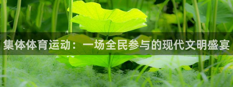  欧亿网址：集体体育运动：一场全民参与的现代文明盛宴
