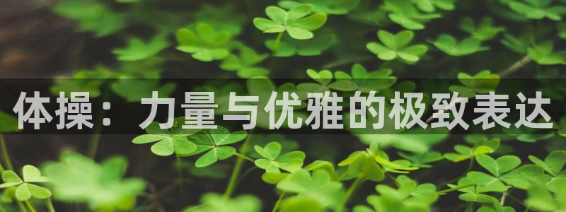 欧亿app官方下载最新版本更新内容：体操：力量与优雅的极致表