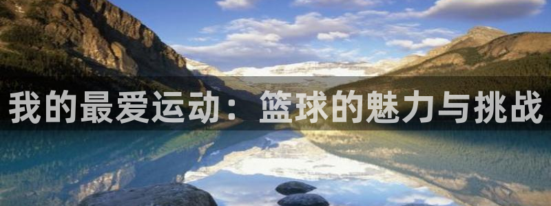  欧亿5注册：我的最爱运动：篮球的魅力与挑战