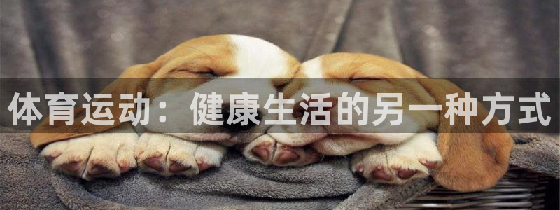  欧亿5鼎点娱乐：体育运动：健康生活的另一种方式